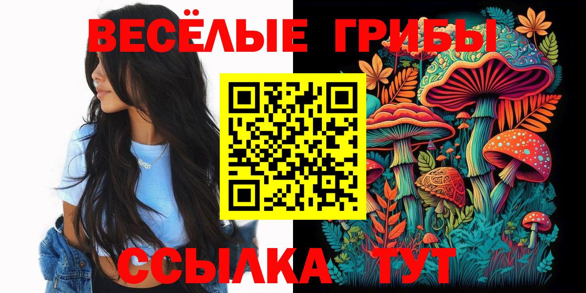 Кимовск  Псилоцибиновые грибы прущие грибы  Вход с VPN 